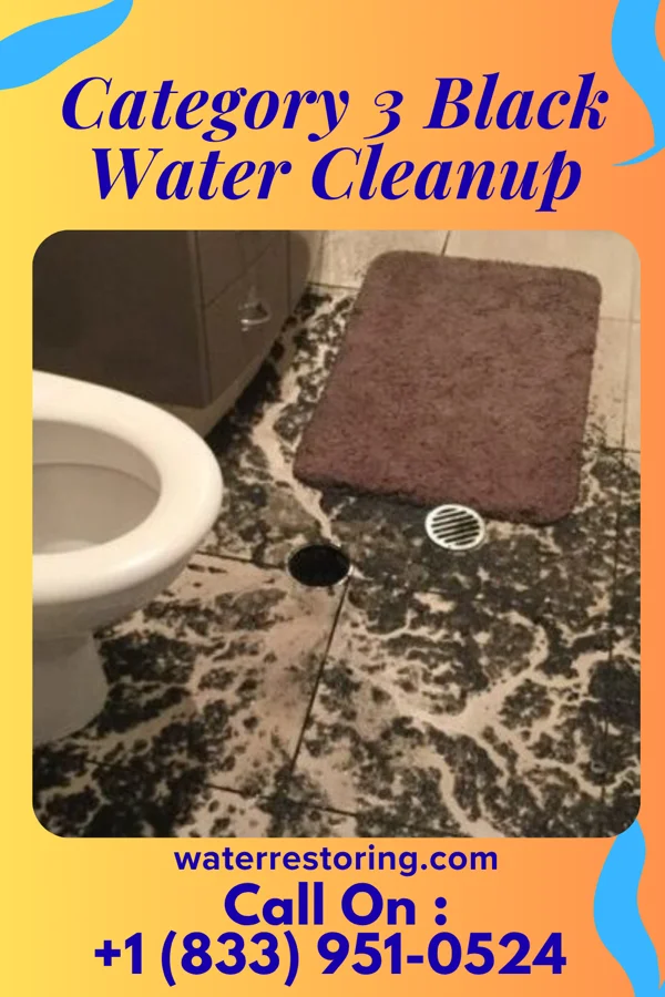 Category 3 Black Water Cleanup in Eastwood, LA